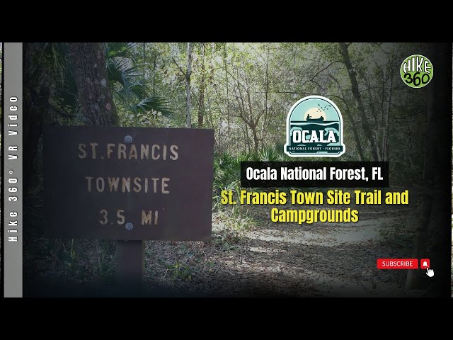 St. Francis Town Site Trail and Campgrounds, Ocala National Forest, FL (Hike 360° VR Video)