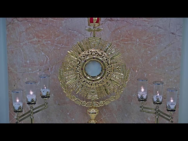 Adorecast – 24/7 Live Eucharistic Adoration