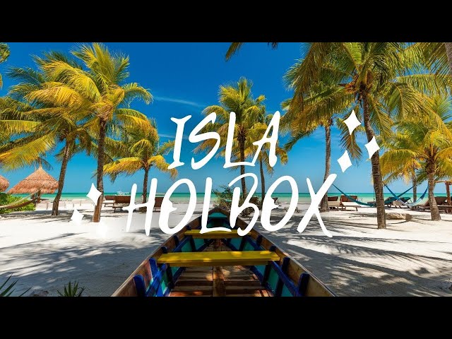 Top 5 Things To Do in Isla Holbox Mexico