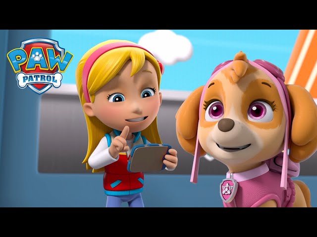 Katie vede Tlapkovou patrolu, aby zastavila štěkající kočky a další! - Tlapková Patrola PAW Patrol