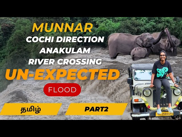 திடீர் வெள்ளம் | SUDDEN Flood We SURVIVED in Munnar | Cochin Direction | PART - 2 #munnar #kerala