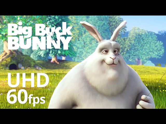 Big Buck Bunny 60fps 4K - Official Blender Foundation Short Film