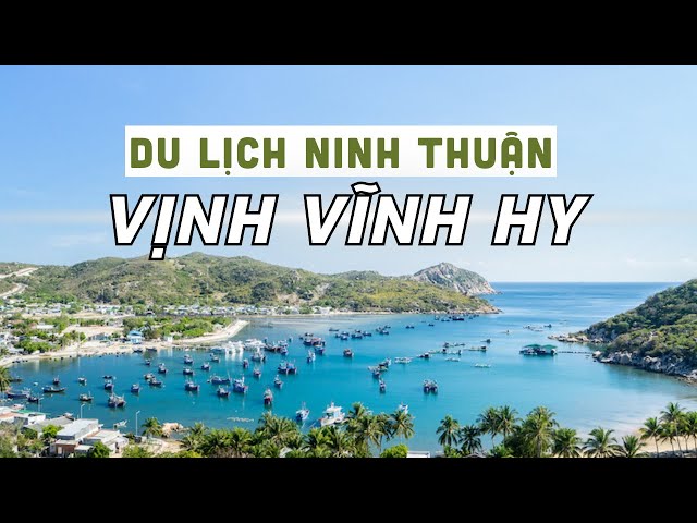 Một Ngày Du Lịch Khám Phá Ninh Thuận - Vịnh Vĩnh Hy Đẹp Mê Hồn | Tung Tăng TV