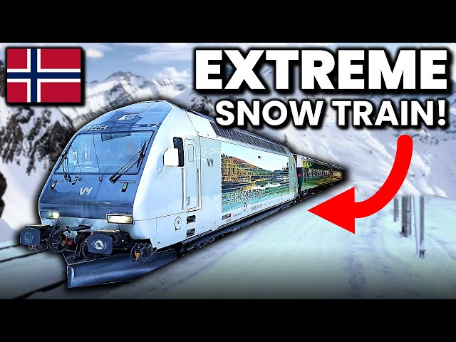 Seven hours on Norway’s STUNNING winter train journey!