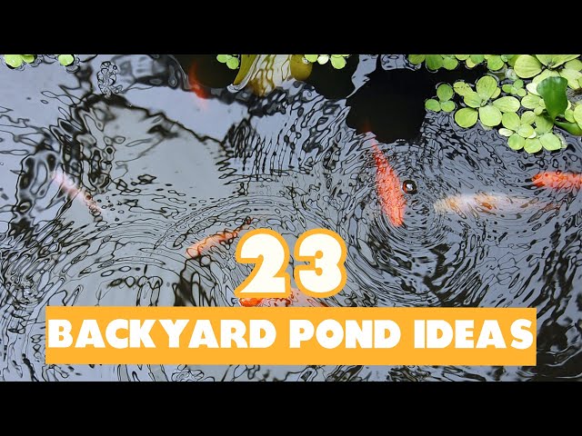 23 Backyard Pond Ideas: Our Top Picks