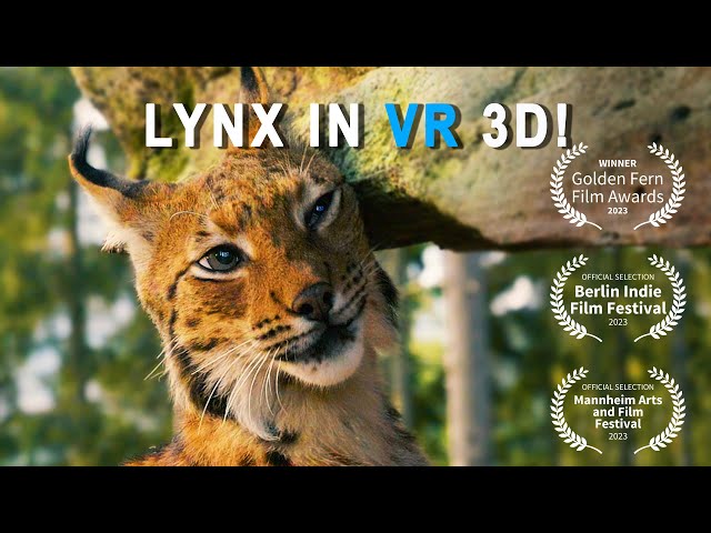 VR NATURE - LYNX IN 3D - ANIMALS IN 8K 180° VR - best in VR Headsets