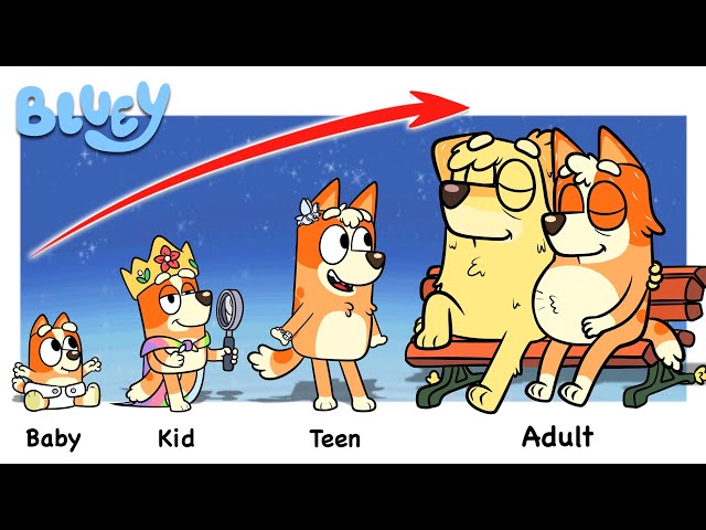 Bluey Heeler GROWING UP EVOLUTION | Go WOW