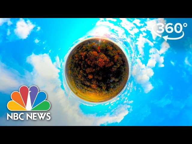 New England Fall Foliage Fly Through At Bartlett Arboretum | 360 Video | NBC News