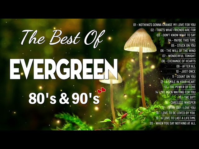 Greatest Relaxing Love Songs 80's 90's 💗 The Most Romantic Evergreen Songs Of All Time Playlist