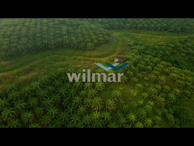 DBS Insights – Food & Agribusiness ESG Series: Sustainable Supply Chain (Wilmar)