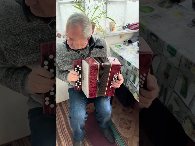 Rare Childrens button accordion, 40 bass, 1/2 Malish accordion, Accordion, Childrens bayan, ON SALE