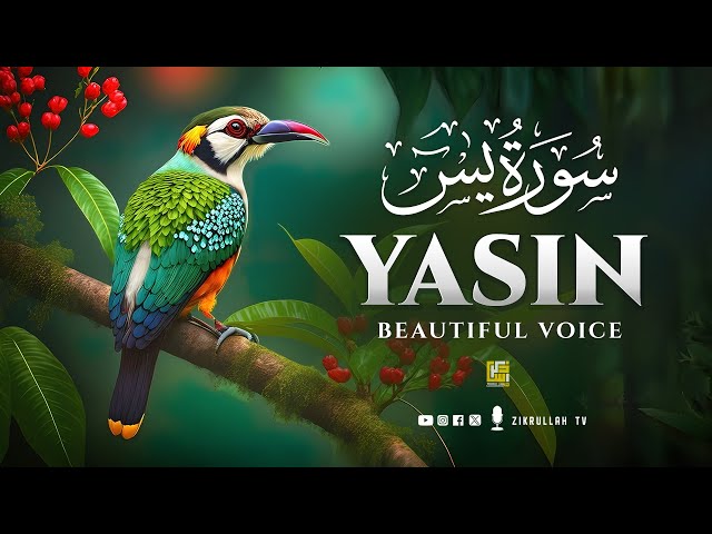 Surah Yasin (Yaseen) سورة يس | Wonderful Relaxing Heart Touching Voice | Zikrullah TV