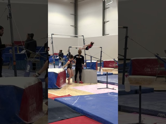 Bars (8.6)