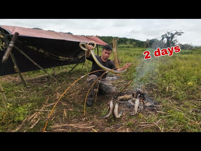 2 DAYS SURVIVAL CAMPING IN THE FOREST - rung47 vlogs