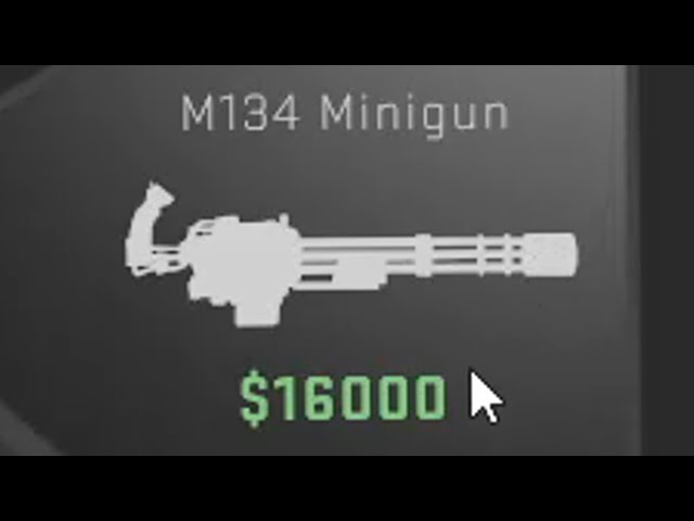 This is why you need $16.000 in csgo: