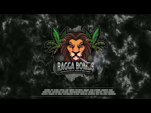 RAGGA BOMBS - Special Mix Vol.13 (Mixed By Baky Jnglst)