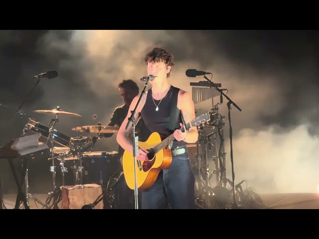 Shawn Mendes - Who I Am (Live) 4K