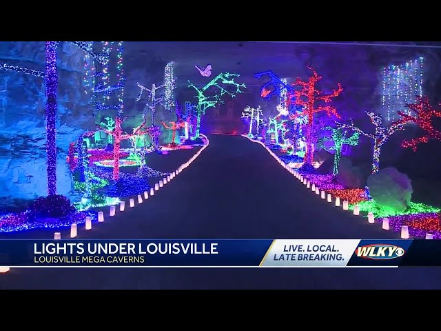 The enchanted forest at Lights Under Louisville