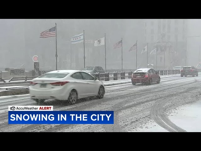 Snow blankets Chicago, suburbs