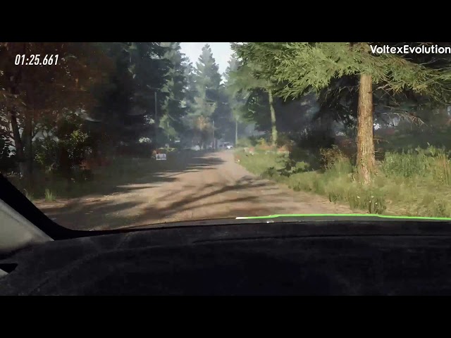 DiRT Rally 2.0 - Rally Finland: Škoda  Fabia R5 ONBOARD