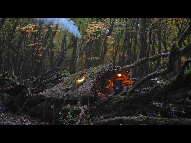 BUILDING a WARM and COZY Secret Cave in a Fallen Tree for SURVIVAL in Rain !