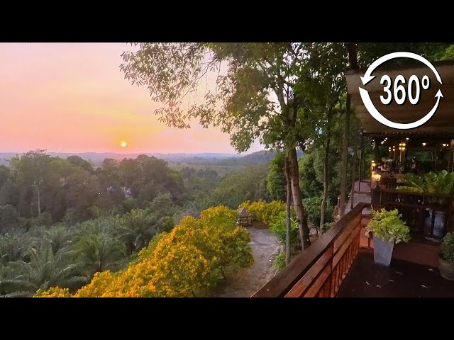 [360°VDO] Nern Khao View Talay Restaurant Phang Nga Thailand 2024 Virtual Tour Ambient Sound