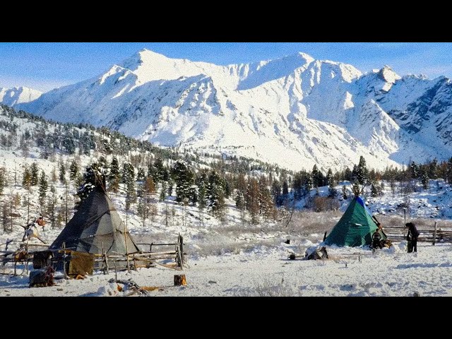 Mongolia, a tsaatan winter