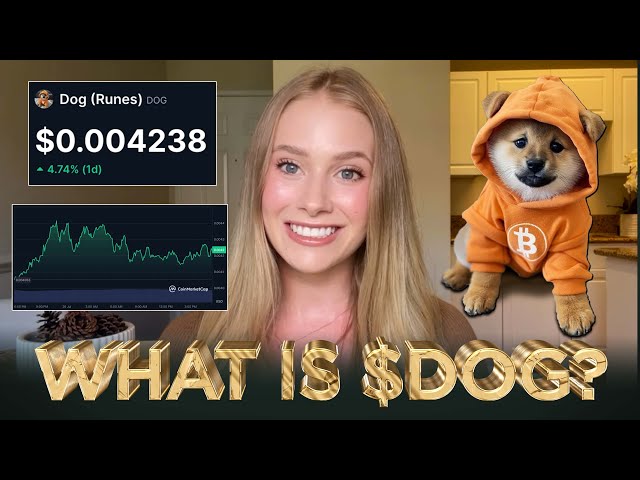 What is $DOG? (Explained in 2 minutes)