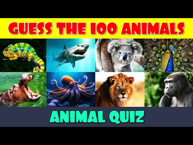 Guess the 100 Animals