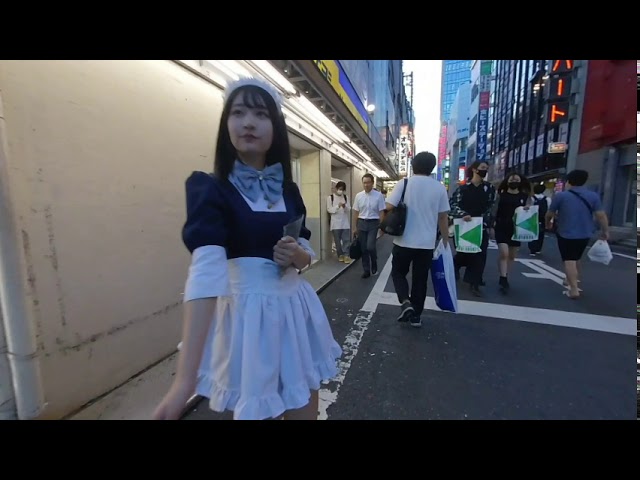 Akihabara Electronic District Of Tokyo In 3D/VR