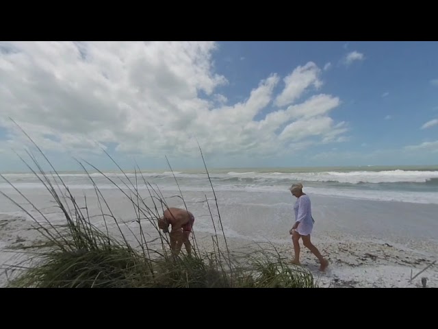 180° VR-Glass Relaxation Tigertail Beach Marco Island Florida