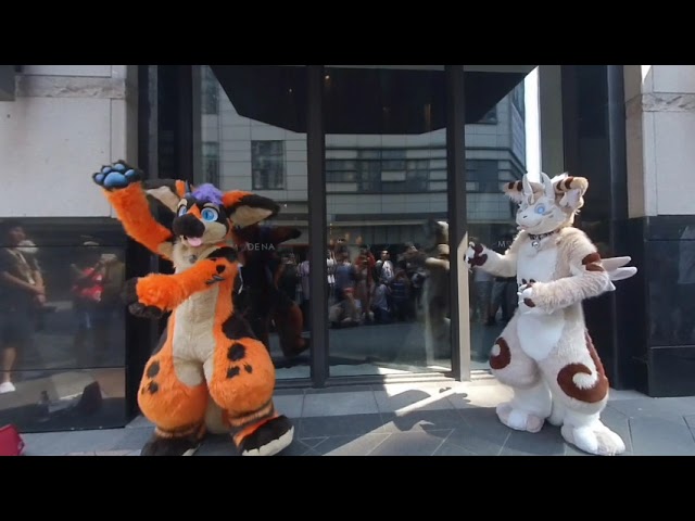 20190729-极兽聚后 秋葵Fursuit Dance Part 2 45秒 HD