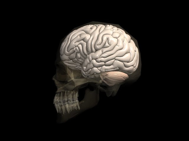 Stroke therapy: Primary vs Comprehensive stroke centers