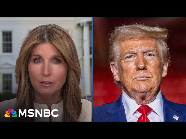 ‘We all watched, we all saw him fail’: Nicolle Wallace on Trump's past handling of a national crisis