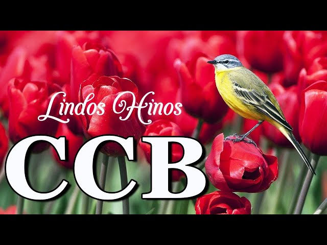 Hinos CCB 2024 - Os Hinos Mais Bonitos Louvando O Senhor Glorioso - Melhores Hinos Ccb Cantados