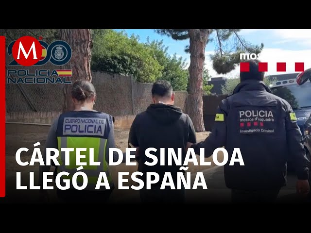 Detienen en España a 14 presuntos miembros del Cártel de Sinaloa