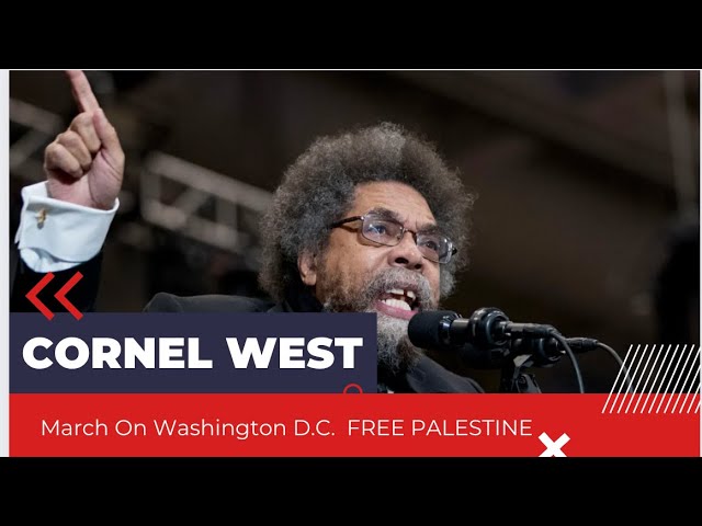 The Unforgettable Words That Shook DC: Cornel West at the DC Protest #protest #marchforgaza