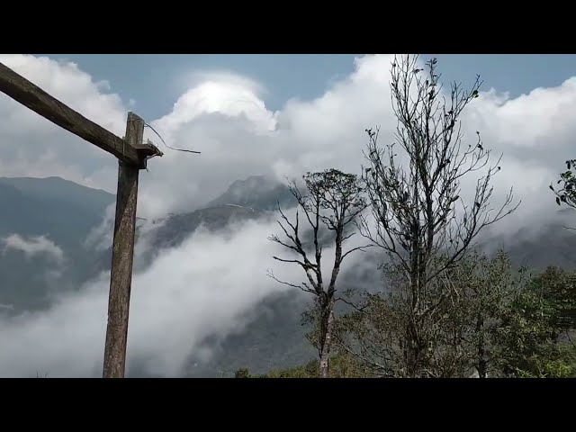 O Quy Ho Pass: One of the most beautiful passes in the Northwest