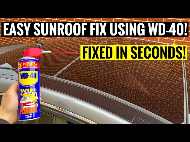 How To Fix Your Slow/Stuck Sunroof With WD-40!