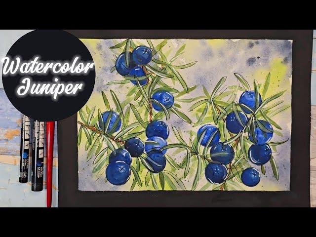 Watercolor - Juniper Berries. Paint along with me - Full Tutorial