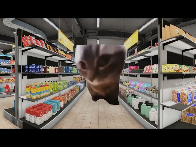 Chibi Chibi Chaba Chaba Cat in YOUR Supermarket! 4K