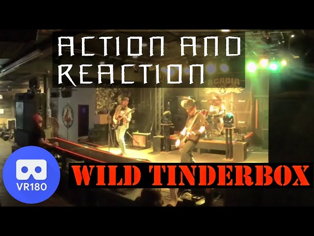 Wild Tinderbox VR180 - Action and Reaction - Acadia - 09/04/2021