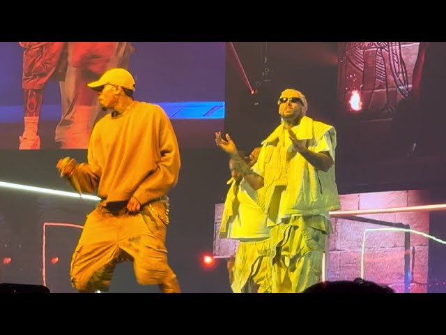 Chris Brown - No Guidance (Live) 4K