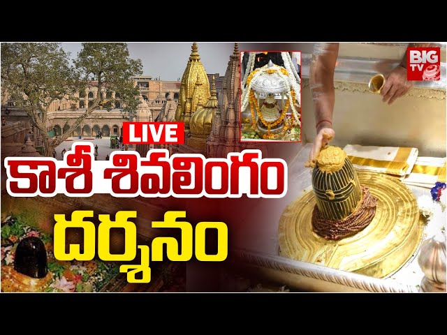 Kashi Vishwanath Darshan  | కాశీ దర్శనం LIVE | Karthika Masam 2024 | BIG TV