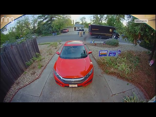 Caught on Surveillance | UPS driver leaves opposite political flags on Davis woman's lawn