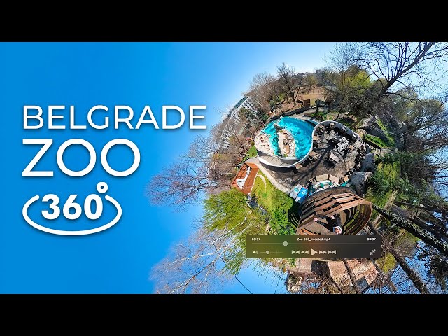 VR 360 Trip to Belgrade Zoo | #360photography #360video