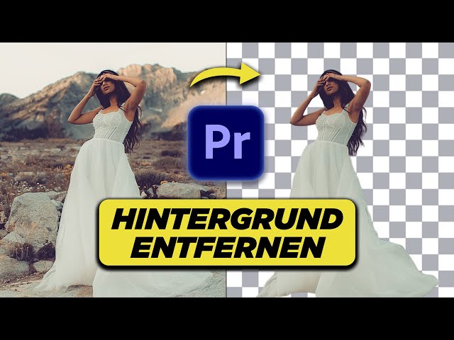 Hintergrund ENTFERNEN in Premiere Pro (OHNE Greenscreen)