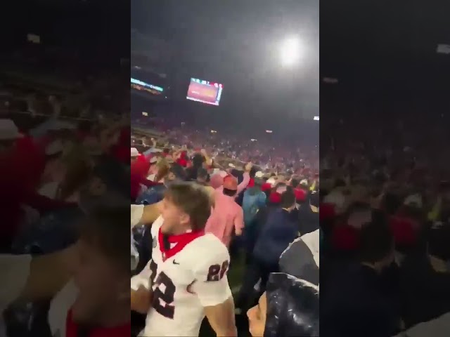 Georgia player Jake Pope celebrating with fans after the Bulldogs lost to Ole Miss