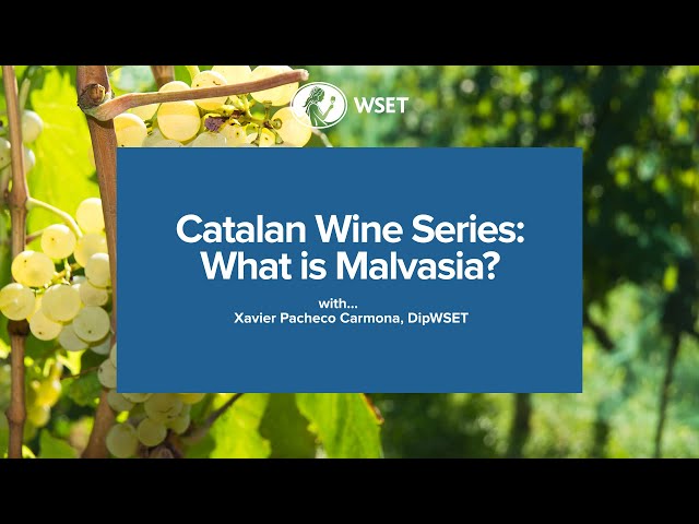 WSET Bitesize – Catalan Wine Series: What is Malvasia?