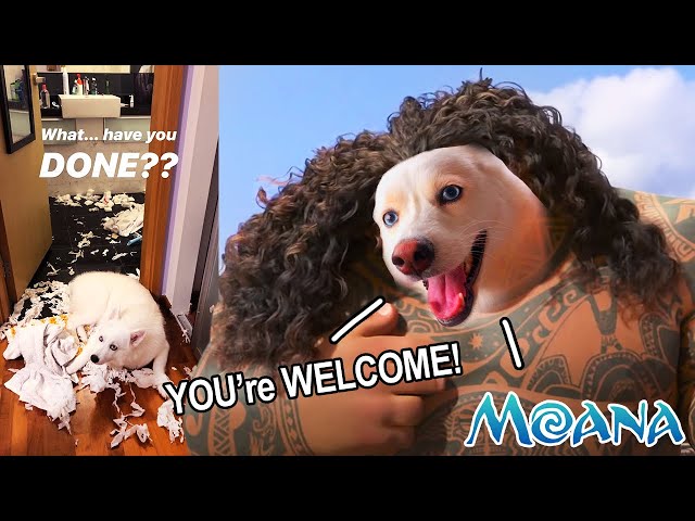 Dog SINGS Moana's 'You're WELCOME' (Dog Cover Parody)